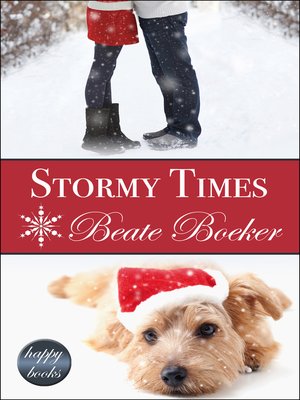 cover image of Stormy Times